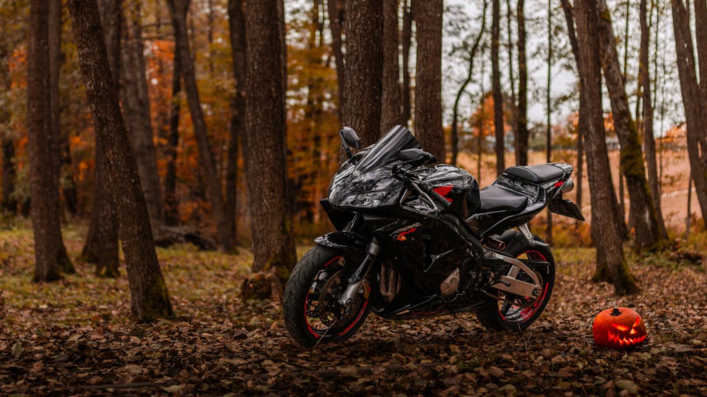 A sleek black motorcycle parked in a beautiful autumn forest with a carved pumpkin nearby.